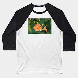 Beautiful Chinese trumpet vine flowers Baseball T-Shirt